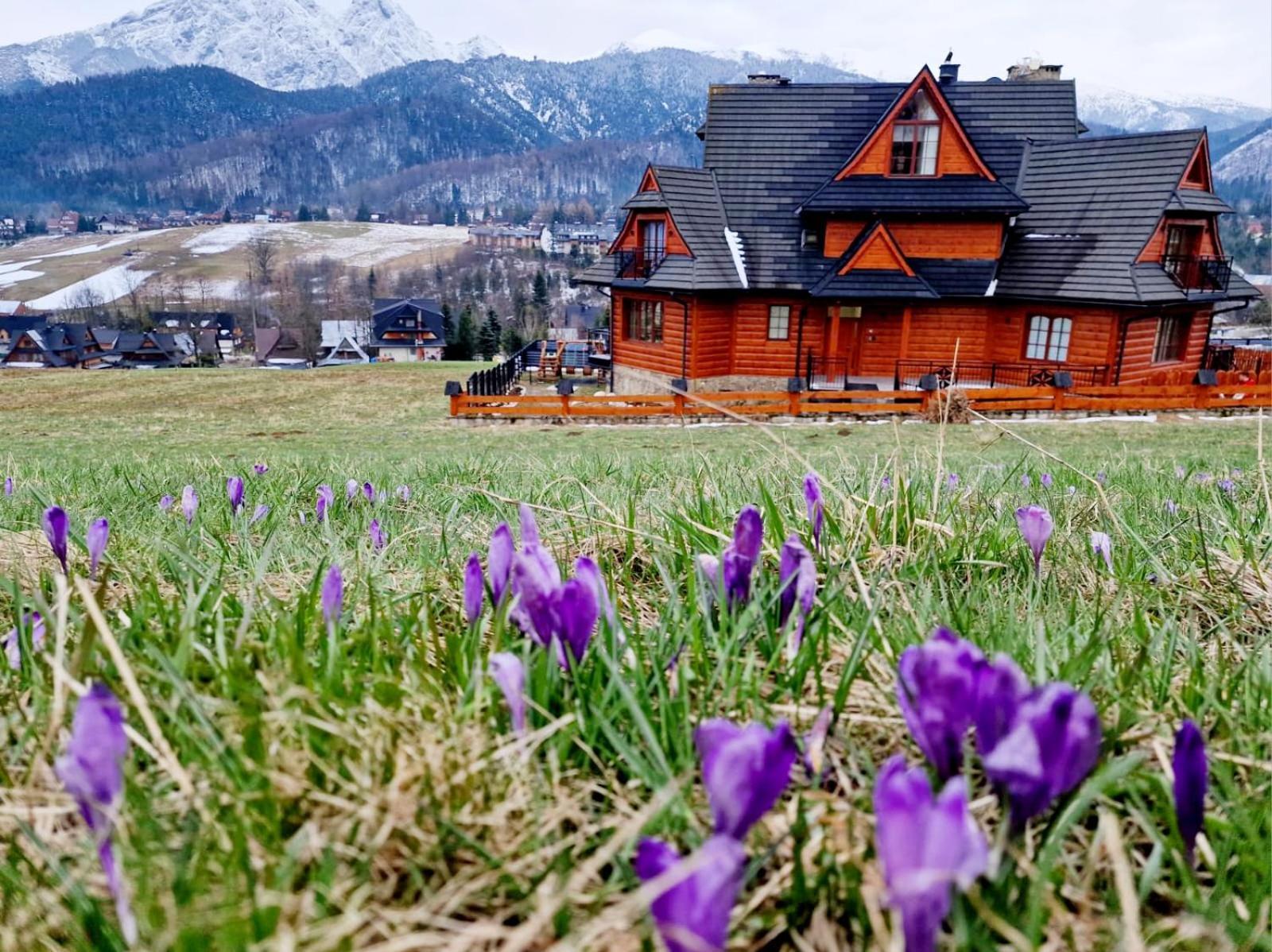 Goralska Prowincja Apartment กอสเชียลิสกอ ภายนอก รูปภาพ
